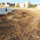 Illustration for article titled Seaweed-Sucking Truck to Clean Spains Hottest Beaches